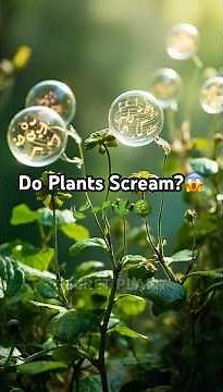 What If You Could Hear Plants Scream?