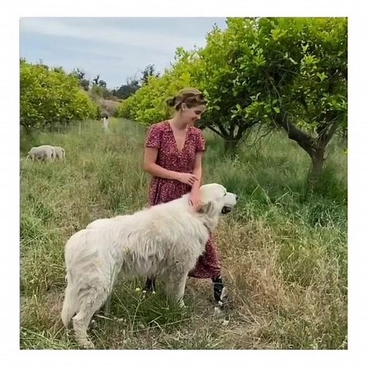 emms new mini vlog 🦋 [ #emmawatson #emmawatsonedit ] #fyp #fypdongggggggg #fypシ