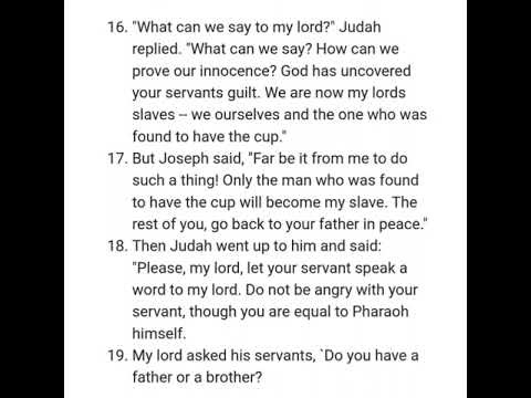 GENESIS 44 NIV AUDIO BIBLE with text