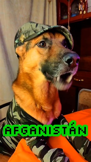 584K views · 14K reactions | LA CARTILLA MILITAR  #paratiiiiiiiiiiiiiiiiiiiiiiiiiiiiiii #foryouシ #parati #Destado | Snapy | Facebook