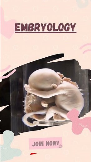 What Is EMBRYOLOGY? EMBRYOLOGY Definition & Meaning