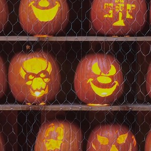 Come celebrate Halloween in Chicago this year! Check our our guide to all things spooky 👻🎃 | Choose Chicago