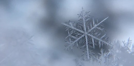 How do snowflakes form? Is each snowflake really unique? Why is some snow light and fluffy or heavy? The amazing science of snow