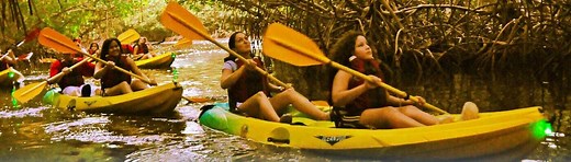 11 Best Bioluminescent Bay Kayak Tours In Puerto Rico (2025)
