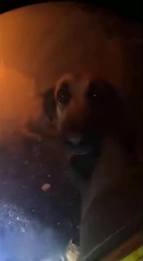 Wait for it😱😱😱 #pov #firefighting #viral #fire #tweening #viralshorts