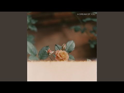 A Dream of You