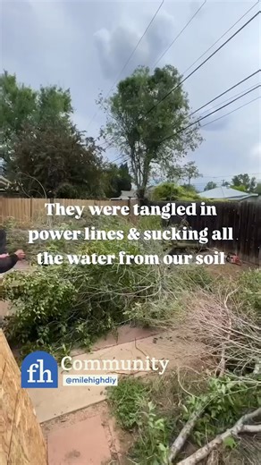 16K views · 38 reactions | IG: @mile_high_diy added a running creek to the yard with rocks, liner, and a pump system. A full water feature build from scratch. #diy #familyhandyman #waterfeature #backyardprojects #landscapedesign | Family Handyman | Facebook