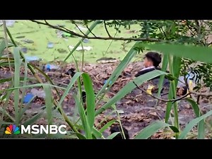 Dramatic video shows what the immigration crisis is all about: people.