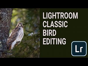 LIGHTROOM CLASSIC. Bird editing tips and tricks