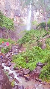 અત્યારથી જ #bookmark કરી લો ખૂબ જ કામ આવશે આ #reel ચોમાસામાં ફરવાનું આયોજન કરવા માટે. #travelgujarat #travelguide #waterfalls #incredible #travel #picnic #uniqueplaces #gujarati #gujarattourism #gujaratireels #saputara | Tripoto ગુજરાતી