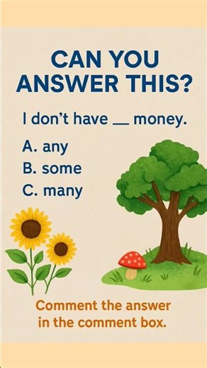 English Grammar Quiz