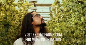 4.7K views · 194 reactions | Expendaberry is coming!!!  It’s...