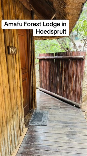 Discover Amafu Forest Lodge in Hoedspruit