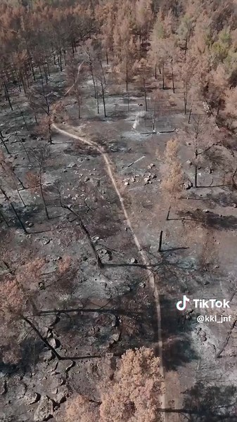 יום איכות הסביבה: להגביר את המודעות לשמירה על הטבע