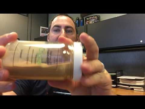 Crystal Fusion Windshield Insurance Explained