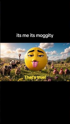 Hey it’s me it’s Moggity (Full song)
