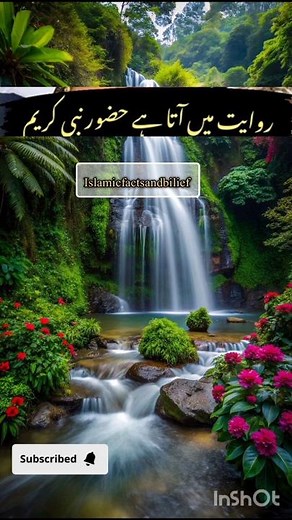 Hadees e Nabvi ﷺ 💗💗 | Hadees Sharif | Best Hadees Of Prophet Muhammad PBUH | Hadees Mubarak #shorts