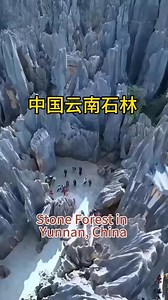 17K views · 435 reactions | ✨ Stone Forest – A 270-million-year-old...