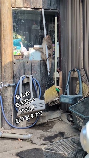 #monkey お手伝いしますよ〜 #淡路島モンキーセンター