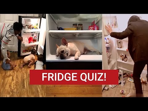 Do you know EVERYTHING about your fridge? Fridge Quiz!
