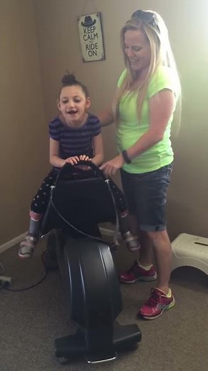 Electronic Horse Riding Simulator