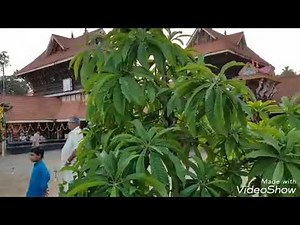 Sarkara Pamba KSRTC .Sarkara devi temple