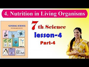 7th Science | Nutrition in Living Organism | Chapter 4 | Maharashtra Board ( Quick Revision ) Part-4