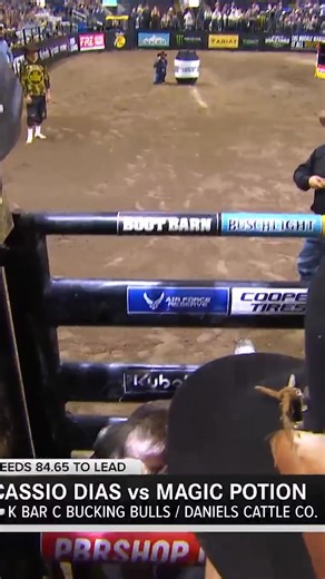 The historic streak continues 🔥 Magic potion has now bucked off 57 consecutive riders. | PBR