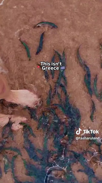 Discover Labrador: North America's Scenic East Coast