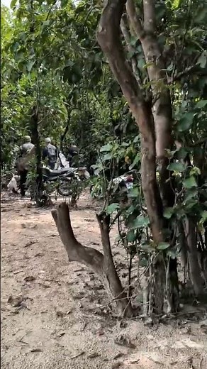 A importância da mata ciliar. Entenda por que as formações vegetais ciliares são essenciais . #rio