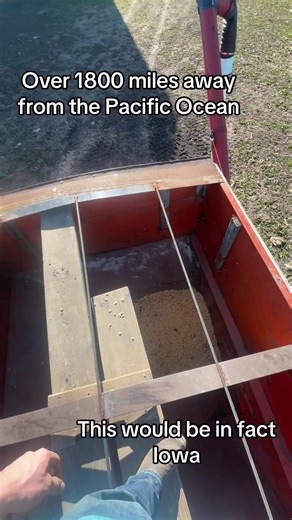 Discover the Beauty of Hawaii: 50th State Overview