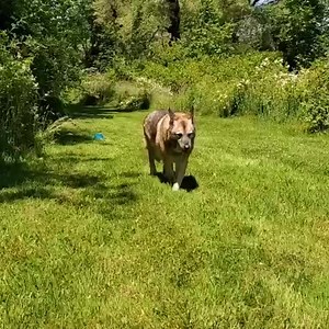 1.4K views · 261 reactions | Miss Brandi joined us for our afternoon...