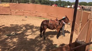 82K views · 944 reactions | Working on tuneup on a couple costume mules | Hutto Mule and Farming | Facebook