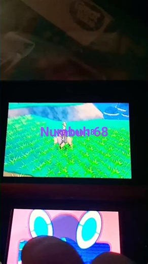 Day 68 of fainting Innocent by standing Pokemon:)