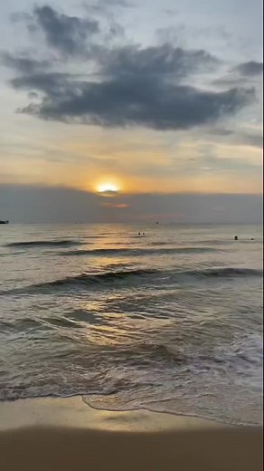 Hilarious Cat Fails Compilation | Funny Pet Moments #shorts