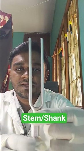 Parts of Tuning Fork