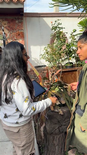 Madis Agromusic on Instagram: "¿Conoces el ópalo? Pareciera que las piedras, cuarzos, ópalos, son insertes pero todo vibra todo el tiempo, solo hay que verlo con otros ojos y dejarse sorprender! ✨Si quieres un recorrido a las minas de ópalo hazlo con @iridiscencia_tx y te llevarás tu ópalo con su sonido!! 💎 Gracias Mafer de @pastelesbonitosh por dejarnos escuchar tu collar!! #musicadelasplantas #sonidodelasplantas #ópalo #turismo"