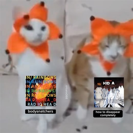 Radiohead Fanpage 🤟 on Instagram: "15 step music vs 15 step lyrics Cre:frranciss1192 (TT) 🔥Comment “Yes” or DM us if you want to buy our products 🎉𝑵𝑬𝑾 𝒀𝑬𝑨𝑹 𝑵𝑬𝑾 𝑶𝑹𝑫𝑬𝑹𝑺 🌟Enjoy 𝟐𝟔% 𝐎𝐅𝐅 𝐟𝐨𝐫 𝐍𝐄𝐖 𝐂𝐔𝐒𝐓𝐎𝐌𝐄