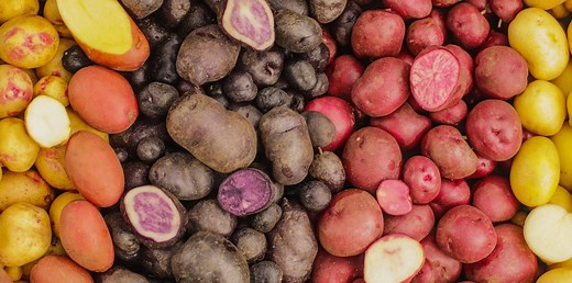 Nutritional Benefits of Colored Potatoes for Heart and Metabolic Health