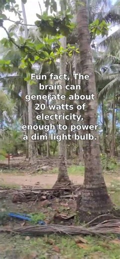 Brain Power: Generating 20 Watts of Energy!