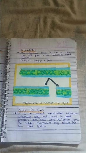 Chapter 12 of class 7 Reproduction in plants short notes part 1