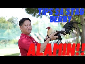 Mga Tips Para Gumanda Score Sa Stag Derbies