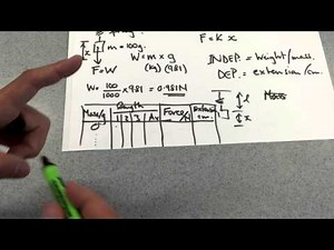 Stretching Springs & Elastic Bands Practical