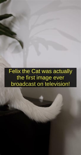 The Secret History of the First Cartoon Cat!