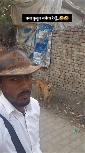 #look_👀 for Dog reaction 🤣🤣 #Dog_prank #funny #moment