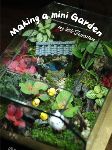 Terrarium Mini Garden - Một khu vườn nhỏ gói gọn trong góc nhỏ của bạn. #TotoroGarden #Terrarium #TerrariumDecor #DIYTerrarium #makingterrarium #terrariummini #DIY
