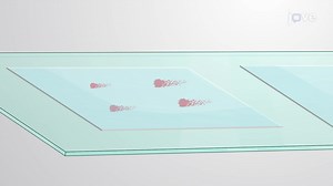 Vidéo: Dosage des comètes pour la détection des dommages à l’ADN dans les cellules - Expérience