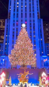 Epic Christmas Tree - Rockefeller centre New York City 😨🎄🎅 #hoildaycheer #SeasonsGreetings #HolidaySeason #christmas2025 #christmastree | Andrew Henderson