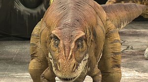 "Stepping into the world of dinosaurs:" Sneak peek of "Walking with Dinosaurs" arena spectacular!