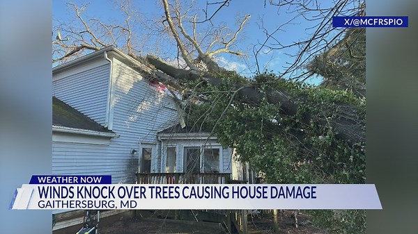 Strong winds down trees, disrupt traffic in Montgomery County